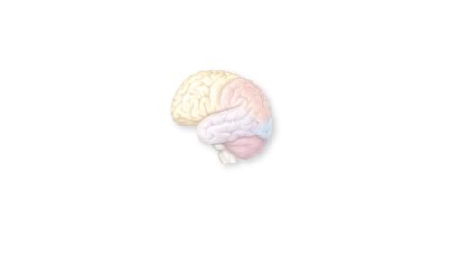 event list item image